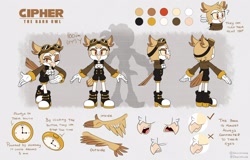 Size: 2500x1600 | Tagged: safe, artist:drstarline, oc, oc:cipher the owl, owl, character sheet, goggles, owl head turn, watch