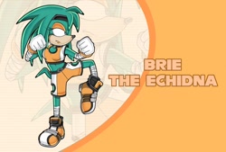 Size: 1280x863 | Tagged: safe, artist:cheshirebats, oc, oc:brie the echidna, echidna, uekawa style