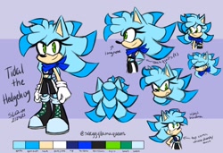 Size: 1900x1300 | Tagged: safe, artist:sweggyllamaqueen, oc, oc:tidal the hedgehog, back quills, from above, reference sheet