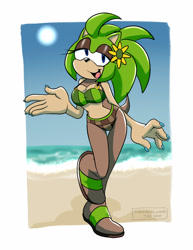 Size: 1024x1326 | Tagged: safe, artist:bgsonicgt, oc, oc:green hill the hedgehog, beach, bikini, daytime, ocean