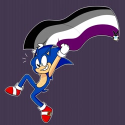 Size: 1000x1000 | Tagged: safe, artist:silverxcristal, sonic the hedgehog, hedgehog, abstract background, asexual pride, clenched teeth, flag, flying, gloves, looking ahead, mid-air, shoes, smile, socks, solo