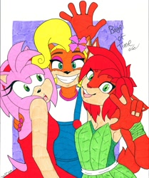 Size: 1169x1400 | Tagged: safe, artist:bageloftime, amy rose, goat, hedgehog, abstract background, bandicoot, coco bandicoot, elora, trio