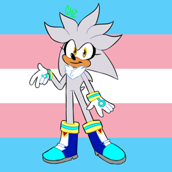 Size: 900x900 | Tagged: safe, artist:doubleboostz, silver the hedgehog, hedgehog, 2020, boots, eyelashes, gloves, headcanon, looking at viewer, male, neck fluff, pride flag, pride flag background, signature, smile, solo, standing, trans male, trans pride, transgender