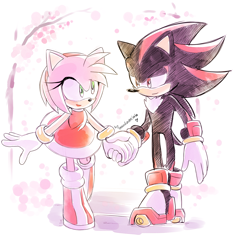 Size: 2153x2079 | Tagged: safe, artist:drawloverlala, amy rose, shadow the hedgehog, hedgehog, female, male, shadamy, shipping, straight