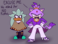 Size: 1280x960 | Tagged: safe, artist:skeletonpendeja, blaze the cat, silver the hedgehog, dialogue, duo, english text, fangs, frown, he asked for no pickles, looking at viewer, looking away, meme, mouth open, poncho, purple background, shadow (lighting), simple background, standing