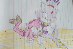 Size: 1280x865 | Tagged: safe, artist:kainic-acid, amy rose, blaze the cat, cat, hedgehog, 2016, amy x blaze, beach, bikini, cute, female, females only, lesbian, sandals, shipping, traditional media