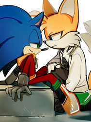 Size: 480x640 | Tagged: safe, artist:lujji, miles "tails" prower, sonic the hedgehog, zonic the zone cop, 2013, drown, duo, gay, lidded eyes, looking at each other, shipping, simple background, sitting, smile, white background, zails, zontails