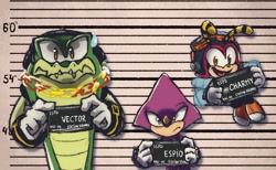 Size: 1280x791 | Tagged: safe, artist:alpacarma, charmy bee, espio the chameleon, vector the crocodile, barbie mugshot meme, holding something, meme, mugshot, team chaotix, trio