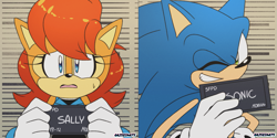 Size: 1651x823 | Tagged: safe, artist:risziarts, sally acorn, sonic the hedgehog, barbie mugshot meme, meme