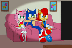 Size: 1280x846 | Tagged: safe, artist:shadow-viper, sally acorn, sonic the hedgehog, abstract background, amy x sonic, bisexual, polyamory, shipping, sonally, sonsalamy, straight, trio, tv