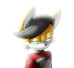 Size: 2689x2487 | Tagged: safe, artist:cassidythehedgehog1, miles (anti-mobius), 2017, frown, lidded eyes, looking at viewer, male, simple background, solo, solo male, standing, white background