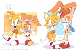 Size: 2048x1319 | Tagged: safe, artist:luckyclau, cream the rabbit, miles "tails" prower, abstract background, duo, english text, female, gender swap, looking at viewer, male, older, scarf, standing