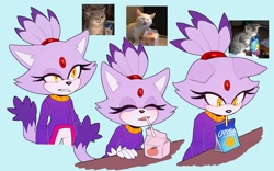 Size: 2727x1698 | Tagged: safe, artist:bongwater777, blaze the cat, cat, 2020, blue background, blushing, clenched teeth, drink, drinking, female, floppy ears, frown, juice box, looking at viewer, mouth open, reference inset, simple background, smile, solo, standing