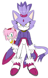 Size: 700x1139 | Tagged: safe, artist:garugirosonicshadow, amy rose, blaze the cat, cat, hedgehog, 2009, amy x blaze, amy's halterneck dress, angry, blaze's tailcoat, female, females only, lesbian, protecting, shipping