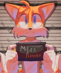 Size: 1722x2048 | Tagged: safe, artist:sadw_e, miles "tails" prower, barbie mugshot meme, meme, mugshot, whiskers