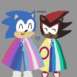 Size: 1280x1280 | Tagged: safe, artist:nietmakkelijke, shadow the hedgehog, sonic the hedgehog, hedgehog, 2023, bisexual, bisexual pride, blushing, cape, cute, duo, gay, grey background, heart, intersex, intersex male, intersex pride, lineless, male, males only, mlm pride, pride, shadow x sonic, shadowbetes, shipping, signature, simple background, smile, sonabetes, standing, trans male, trans pride, transgender