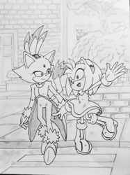 Size: 540x723 | Tagged: safe, artist:smsskullleader, amy rose, blaze the cat, cat, hedgehog, 2016, amy x blaze, amy's halterneck dress, blaze's tailcoat, cute, female, females only, lesbian, looking at them, shipping, sketch, tree