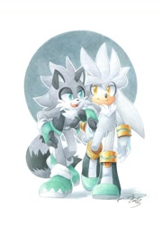 Size: 900x1247 | Tagged: safe, artist:finikart, silver the hedgehog, oc, oc:stripes the raccoon, hedgehog, raccoon, duo