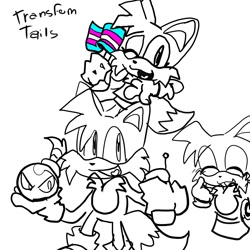 Size: 2000x2000 | Tagged: safe, artist:weeklywackyvers, miles "tails" prower, fox, english text, female, pride flag, simple background, solo, trans female, trans pride, transgender, white background