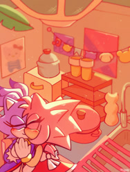 Size: 540x720 | Tagged: safe, artist:eldoodlez, amy rose, blaze the cat, cat, hedgehog, 2023, amy x blaze, amy's halterneck dress, blaze's tailcoat, blushing, cute, eyes closed, female, females only, kiss, kitchen, lesbian, shipping