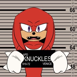 Size: 1288x1287 | Tagged: safe, artist:queenie_draws, knuckles the echidna, barbie mugshot meme, meme