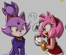 Size: 540x451 | Tagged: safe, artist:smilenetwork, amy rose, blaze the cat, cat, hedgehog, 2023, amy x blaze, amy's halterneck dress, blaze's tailcoat, cute, female, females only, glass, lesbian, question mark, shipping, strawberry