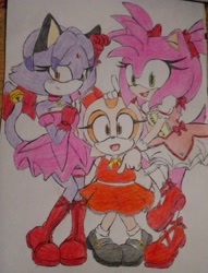 Size: 2910x3810 | Tagged: safe, artist:ev_rosey, amy rose, blaze the cat, cream the rabbit