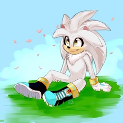 Size: 828x828 | Tagged: safe, artist:solar socks, silver the hedgehog, hedgehog, boots, gloves, grey fur, male, movie style, yellow eyes