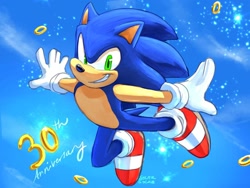 Size: 1080x810 | Tagged: safe, artist:solar socks, sonic the hedgehog, hedgehog, blue fur, gloves, green eyes, male, rings, shoes, socks