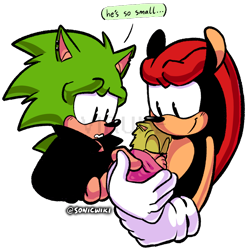 Size: 792x800 | Tagged: safe, artist:sonicwiki, mighty the armadillo, scourge the hedgehog, oc, oc:durian the quilladillo, armadillo, hedgehog, baby, family, father and son, gay, magical gay spawn, male, mighty x scourge, parent:mighty, parent:scourge, parents:scourighty, quilladillo, shipping