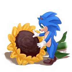 Size: 1080x1080 | Tagged: safe, artist:solar socks, sonic the hedgehog, hedgehog, baby sonic, blue fur, gloves, green eyes, male, movie style, shoes, sunflower