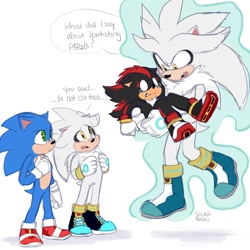 Size: 1080x1080 | Tagged: safe, artist:solar socks, shadow the hedgehog, silver the hedgehog, sonic the hedgehog, hedgehog, male, movie style, self paradox