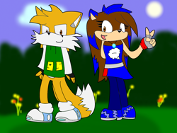 Size: 1024x768 | Tagged: safe, artist:massi-the-fox, oc, oc:massi the fox, oc:samantha the hedgehog, fox, hedgehog, female, male