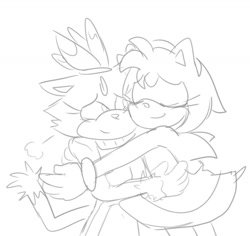 Size: 1280x1209 | Tagged: safe, artist:sonicdrift2, amy rose, blaze the cat, cat, hedgehog, 2018, alternate version, amy x blaze, blaze's tailcoat, cute, eyes closed, female, females only, hugging, lesbian, line art, shipping, sketch