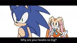 Size: 1800x1012 | Tagged: dead source, safe, artist:roastedgarlics2, cream the rabbit, sonic the hedgehog, duo