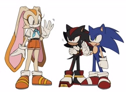 Size: 2560x1879 | Tagged: safe, artist:roastedgarlics2, cream the rabbit, shadow the hedgehog, sonic the hedgehog, aged up, height difference, simple background, trio, white background