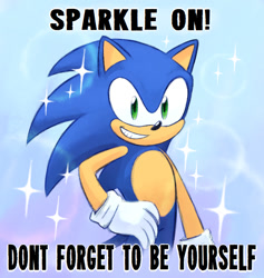 Size: 900x950 | Tagged: safe, artist:cityrun, sonic the hedgehog, english text, hand on hip, meme, solo, sparkles