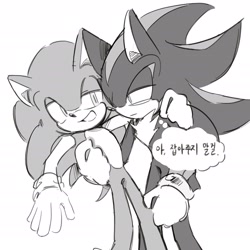 Size: 1449x1449 | Tagged: safe, artist:chilidog_16, shadow the hedgehog, sonic the hedgehog, duo, gay, greyscale, holding them, korean text, monochrome, shadow x sonic, shipping, thought bubble