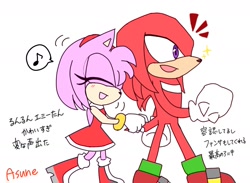 Size: 1402x1026 | Tagged: safe, artist:asune_snare, amy rose, knuckles the echidna, duo, holding tail, japanese text, tokyo game show, walking