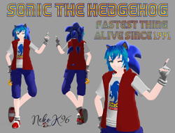 Size: 1278x975 | Tagged: safe, artist:petite-neko-kitsune, sonic the hedgehog, human, humanized, mmd