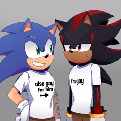 Size: 2048x2048 | Tagged: safe, artist:leithecatfish, shadow the hedgehog, sonic the hedgehog, 2024, alternate outfit, duo, english text, gay, grey background, hand on hip, lidded eyes, looking at them, pants, shadow x sonic, shipping, shirt, signature, simple background, standing, sweatdrop, words on a shirt