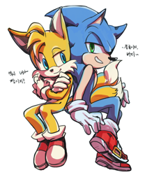 Size: 1000x1200 | Tagged: safe, artist:lenmeu, miles "tails" prower, sonic the hedgehog, 2013, arms folded, clenched teeth, dialogue, duo, gay, korean text, lidded eyes, looking at them, looking at viewer, shipping, simple background, sitting, smile, sonic x tails, white background