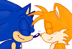 Size: 1542x1063 | Tagged: safe, artist:gayspudling, miles "tails" prower, sonic the hedgehog, 2024, blushing, boop, cute, duo, eyes closed, gay, nose boop, shipping, simple background, smile, sonic x tails, white background