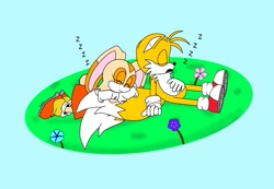 Size: 2048x1418 | Tagged: safe, artist:jp_tabby14, cream the rabbit, miles "tails" prower, 2024, blue background, duo, flower, grass, shipping, simple background, sleeping, straight, taiream, zzz