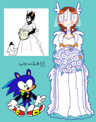 Size: 1493x1902 | Tagged: safe, artist:blingeepilled, princess elise, sonic the hedgehog, human, blue background, bouquet, duo, english text, flower, reference inset, sonelise, suit, veil, wedding, wedding dress, wedding suit, wedding veil