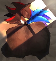 Size: 1901x2048 | Tagged: safe, artist:tamjeong_sonic, shadow the hedgehog, sonic the hedgehog, blanket, duo, eyes closed, gay, lying down, shadow x sonic, shipping, sleeping