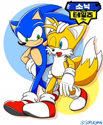 Size: 1682x2048 | Tagged: safe, artist:sopucyan, miles "tails" prower, sonic the hedgehog, 2024, abstract background, cute, duo, gay, hand on another's head, hand on hip, japanese text, looking at each other, mouth open, one fang, shipping, signature, smile, sonic x tails, walking, wink