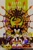 Size: 667x1000 | Tagged: safe, artist:noterkgk, e-123 omega, maria robotnik, metal sonic, shadow the hedgehog, sonic the hedgehog, super sonic, doom morph, halloween, super form