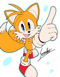 Size: 1000x1279 | Tagged: safe, artist:secretter_zgwl, miles "tails" prower, 2024, abstract background, flat colors, looking at viewer, mouth open, outline, pointing, signature, smile, solo, standing