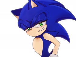 Size: 2048x1536 | Tagged: safe, artist:tamjeong_sonic, sonic the hedgehog, grin, lidded eyes, looking at viewer, simple background, smile, solo, white background